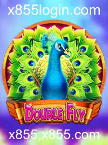 Explorando o Fascinante Mundo de DoubleFly