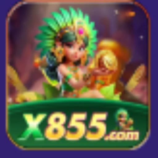 x855,x855.com Logo