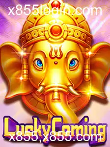 Descubra o Excitante Universo do Jogo 